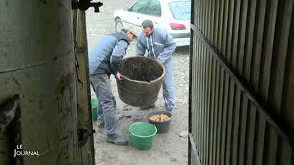 Alambic du Marais : Rencontre avec 2 distillateurs (Vendée)