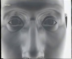 Retina artificial: Implantes del futuro