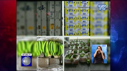 Más de 600 kilos de droga decomisados en los puertos de Machala y Guayaquil