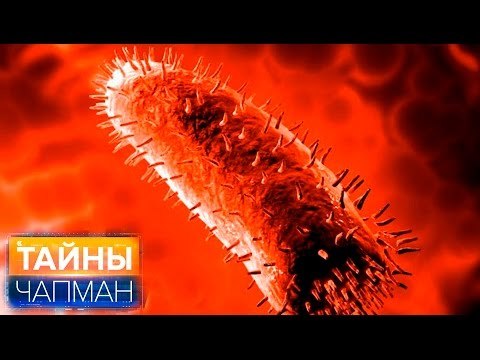 Тайны Чапман. Вирусы! Спасайся кто может!
