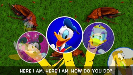 Mickey Mouse and Friends Gross Bugs Camping Finger Family Song!