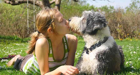 Teen Girl Having Fun With Beagle Dog