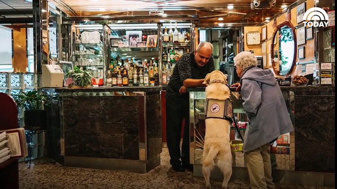 Elle ne voulait plus sortir de chez elle jusqu'à ce qu'elle fasse une rencontre inattendue