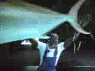 Video Comico Pagine Gialle