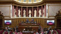 Egalité réelle Outre-mer, intervention d'Ericka Bareigts au Sénat