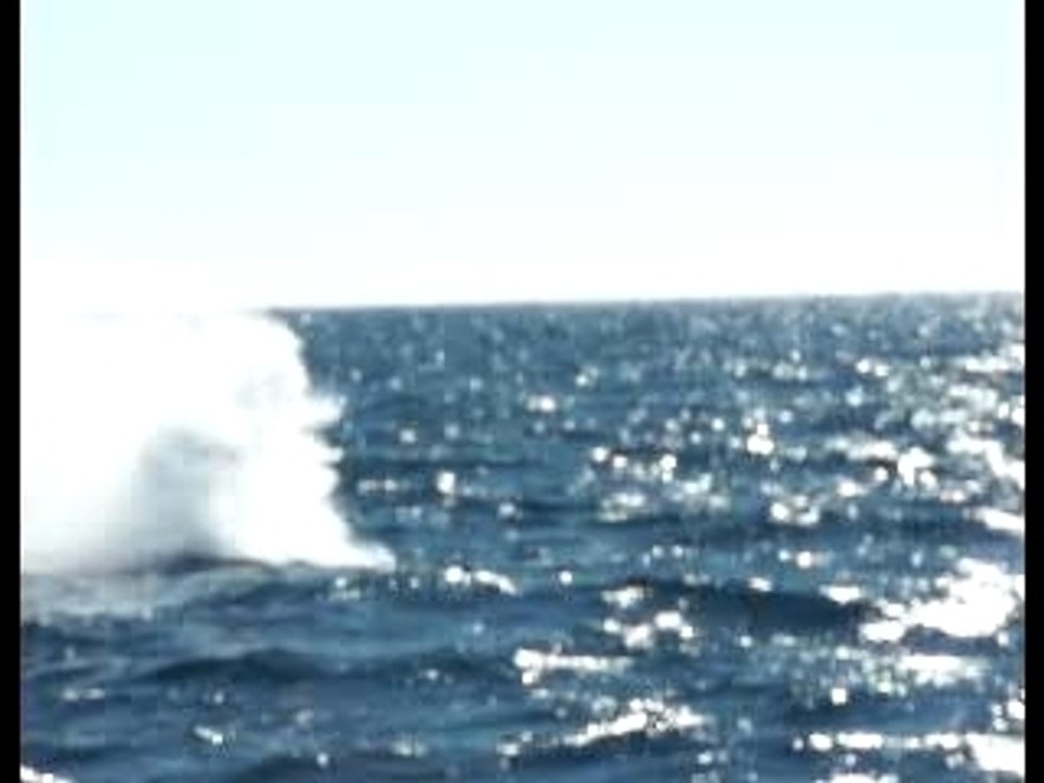Jet ski DelfinO