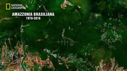 Cambiare il clima con la propria dieta - Before the flood (Punto di non ritorno)