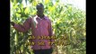 TED TALK in Amharic William Kamkwamba- How I harnessed the wind with Amharic subtitle - BeteSub