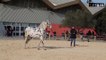 Le 18:18 - Avignon : 100000 visiteurs et 1200 chevaux attendus pour "Cheval Passion"