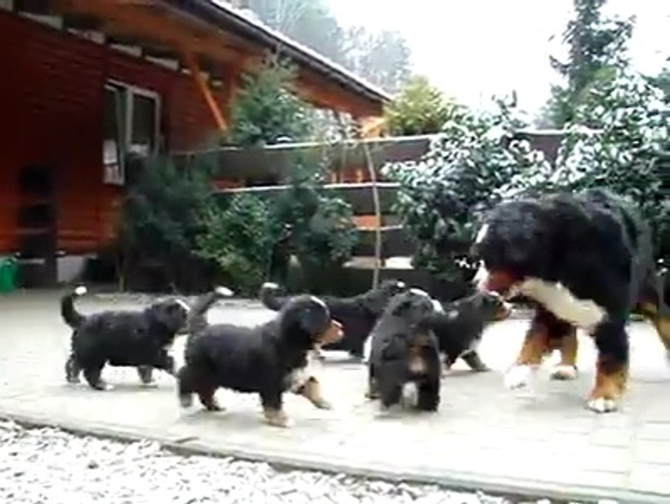 anne olmak böyle bişey