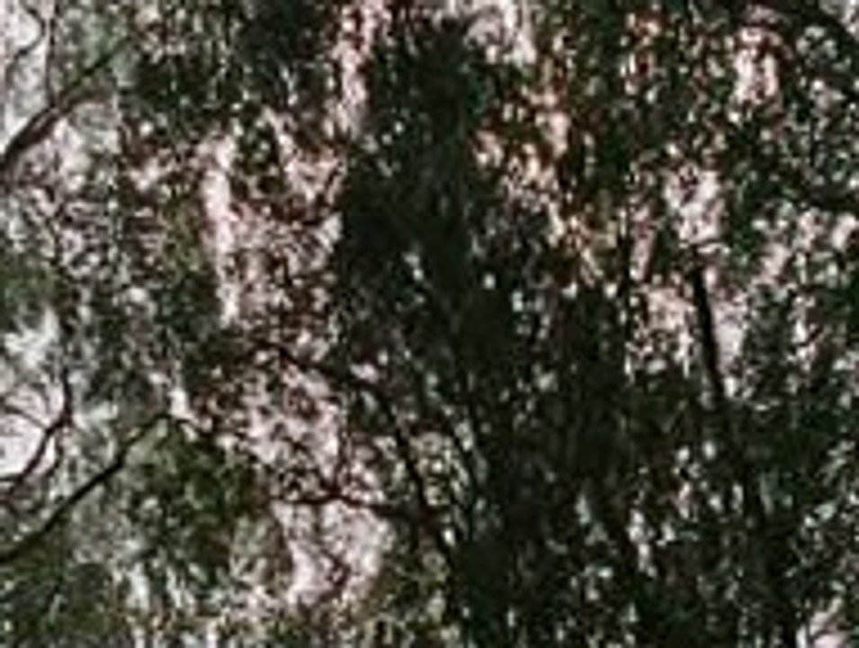 Aaj_Laagi_Laagi_Nai_Dhoop_(Ankhon_Dekhi)