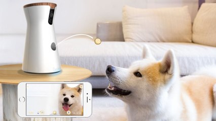 Furbo Dog Camera Treat Tossing, HD Wifi Cam, and 2-Way Audio