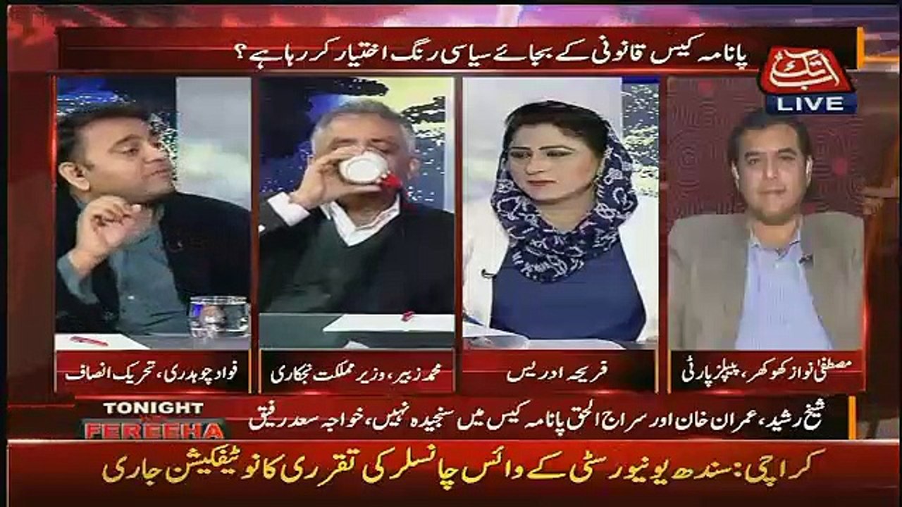 Muhammad Zubair Condemn Rana Sanaullah Statement Over Establishment