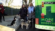 Who Let the Dogs Out? World’s First Canine Tour Bus Hits London