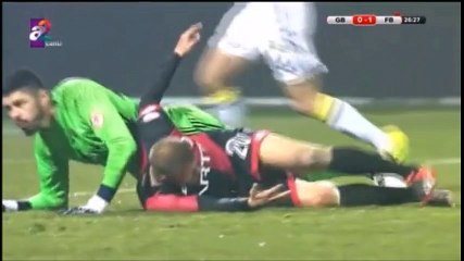 Genclerbirligi vs Fenerbahce 2-2 All Goals & Highlights HD 18.01.2017