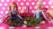 Frozen Princesses Anna and Elsa Orbeez Challenge Pool Party! Surprise Toys BLIND BAGS! Shopkins