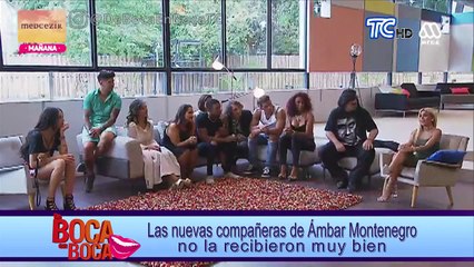 Ámbar Montenegro llega con fuerza a la TV chilena, la polémica se hace presente