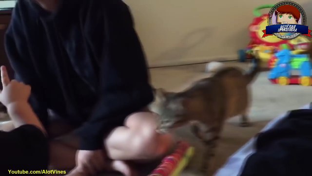 УГАРНЫЕ ПРИКОЛЫ ДО СЛЕЗ 2016 - Новые смешные видео - лучший тест на психик