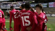 Lucas Leiva Goal HD - Plymouth 0 - 1 Liverpool - 18.01.2017