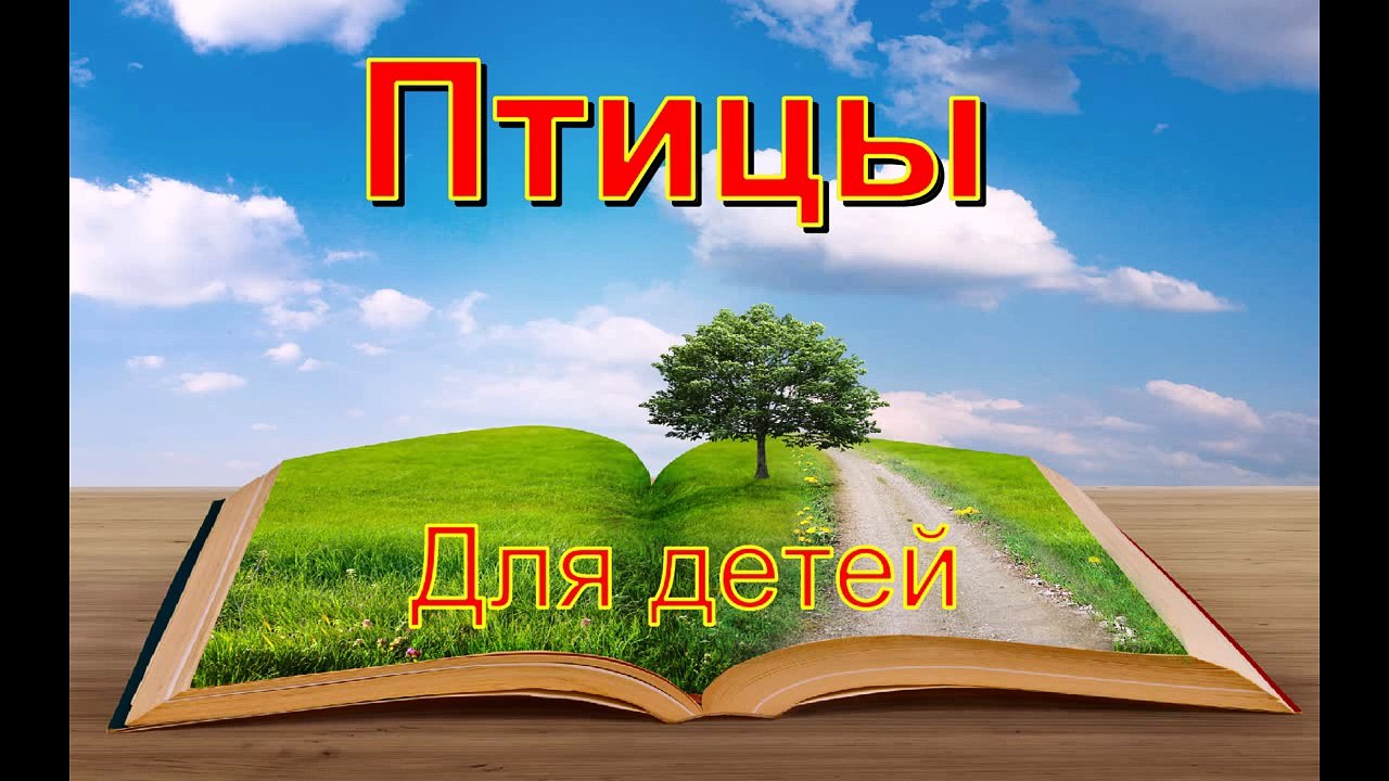 Развивающий мультик для детей по Доману от 1-3 лет Птицы для детей (часть-1)