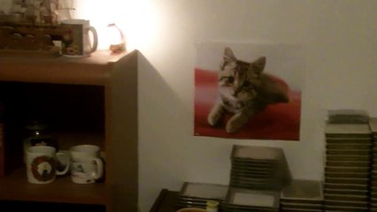 Event on December 12, 2016