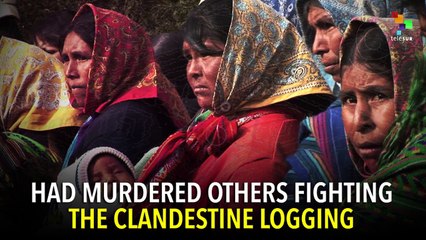 Mexico'S Award Winning Activist Isidro Baldenegro Lopez Is Assasinated