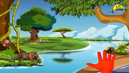 Gorilla Lion Bear Tiger Cat Finger family Songs | 3d animated English Nursery kids rhymes