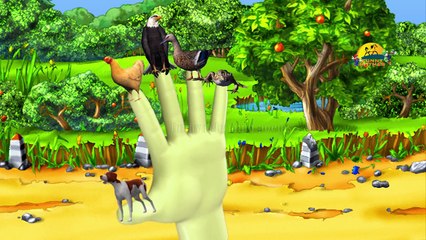 Animals Finger Family nursery children song | Dog,eagle,hen Finger family rhyme