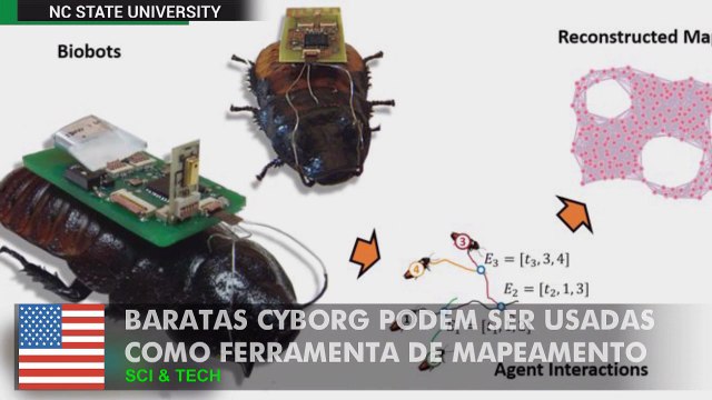 Baratas Cyborg podem ser usadas como uma ferramenta de mapeamento.