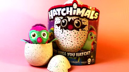 Hatchimal Hatching - Unboxing a Hatchimal Egg How to Open