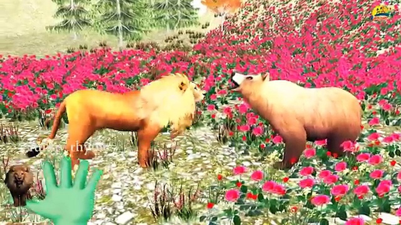 BearV/S Tiger Finger Family Nursery Children 3d English Rhymes | Animated Finger kids songs
