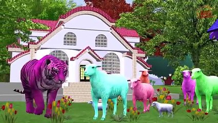 BABA BABA BLACK SHEEP English Nursery Rhyme || Children Nursery Rhyme