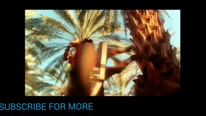 Dhoom 4 Movie Trailer 2016 Fan Made Trailer _ Salman Khan _ Shahrukh khan _ Ranv_HD