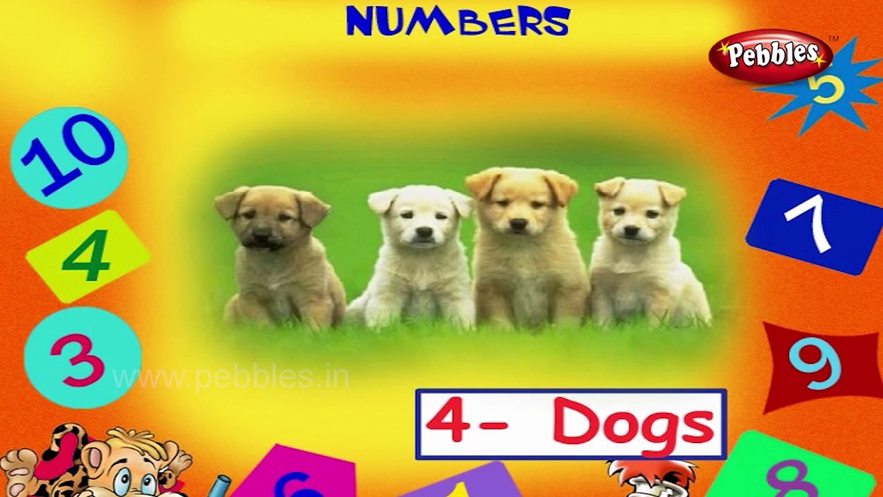Learn Numbers 1 to 10   Learn English Basics for Kids   English Grammar for Children