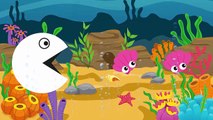 Learn Colors Pacman for Toddlers Kids with Sea Animals - Learn Name Sea Animals - Learning Videos
