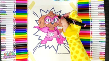 Learn Colors for Kids and Color Paw Patrol Super Skye Coloring Page with Crayola Color Wonder