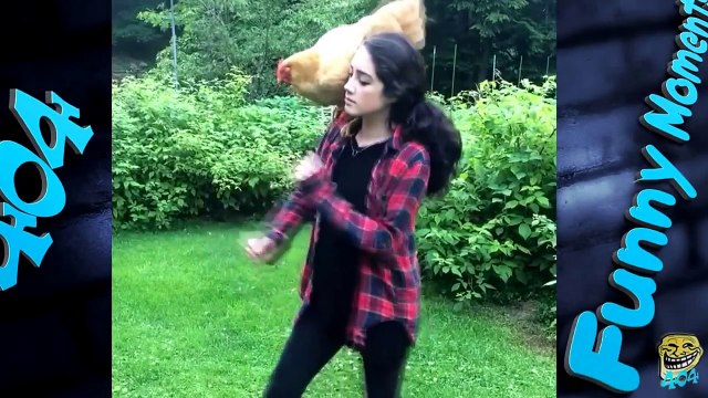 Смешные приколы про животных 2016 Подборка животных