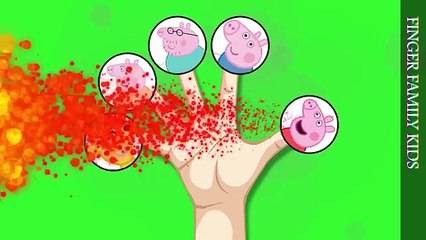 Finger Family Song Peppa Pig George Daddy Pig Mummy Pig Teddy Nursery Rhyme