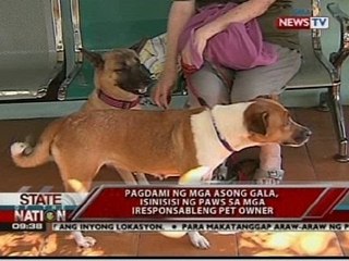 SONA: Mga asong gala na may rabies, isinasailalim sa euthanasia