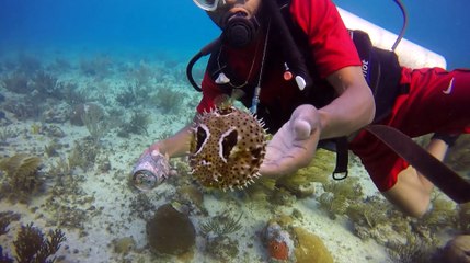 Mergulho na Ilha de San Andrés