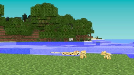 Ocelot Life - Minecraft Animation