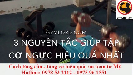 Cách tập cơ ngực đúng cách, hiệu quả