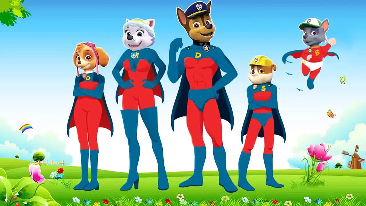 SuperHero Finger Family Paw Patrol Pups Transform into SuperHeroes Finger Family Nursery Rhymes