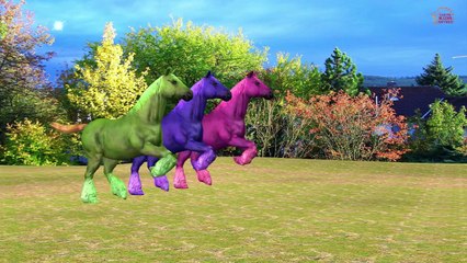 Color Animals Song - Children Nursery Rhymes - 3D Animation Song - Rhymes For Kids Collection
