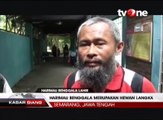 Tiga Anak Harimau Benggala Lahir