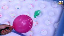 Balloons Popping Show || Balloons for Kids - Balloons for Children - Childrens Educational Video