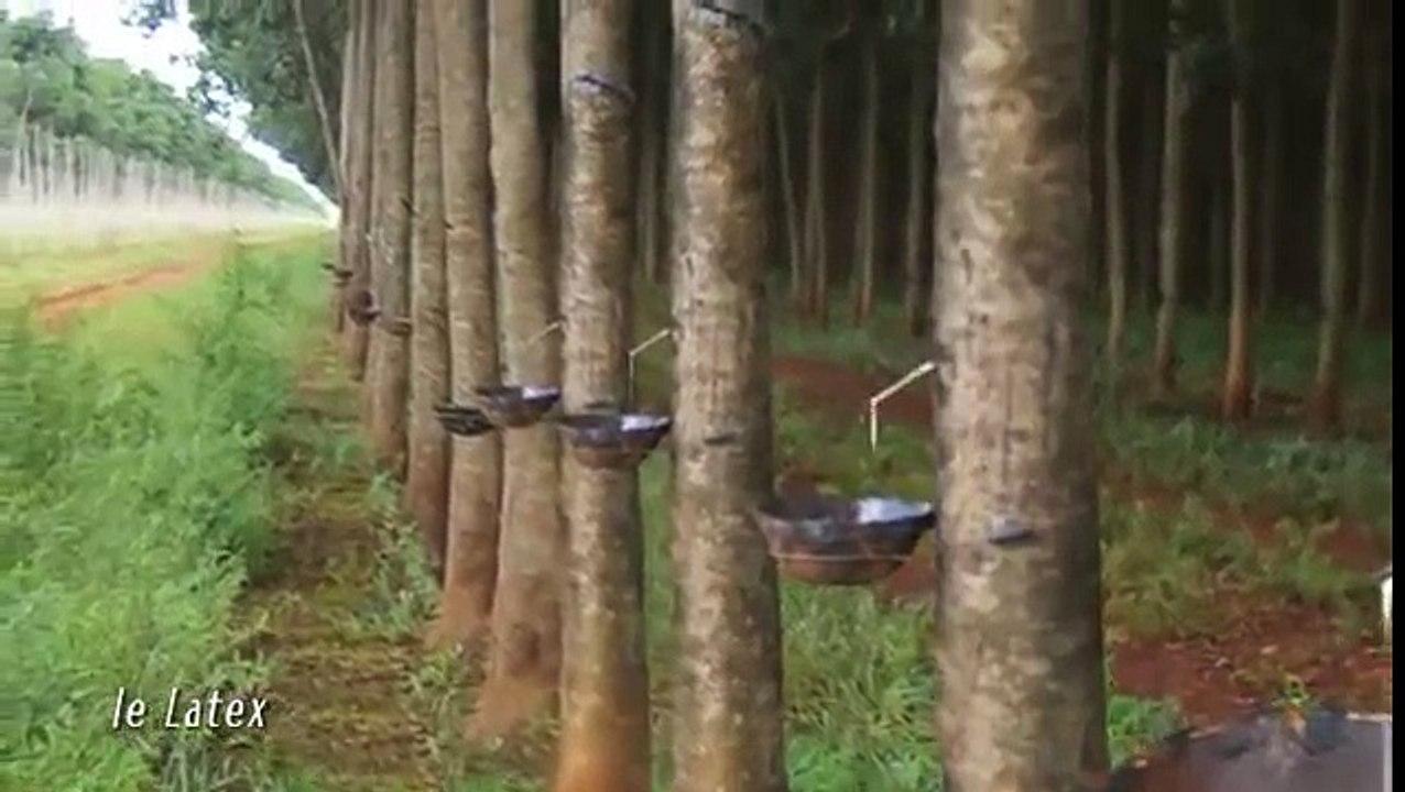 Les parents inquiets après la découverte de moisissures dans "Sophie la girafe", un des jouets préférés des bébés