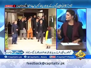 Farooq Habib give hard hitting reply to PMLN