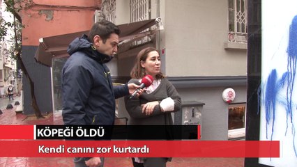 Köpeği öldü kendisi yaralandı