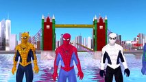 Colors Spiderman Sits On Spider Dinosaurs Finger Family Songs And More Nursery Rhymes Collection